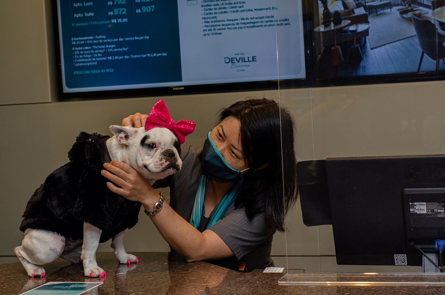 Balanço pet: Hotéis Deville são pet friendly e hospedaram quase 600 animais em 2021