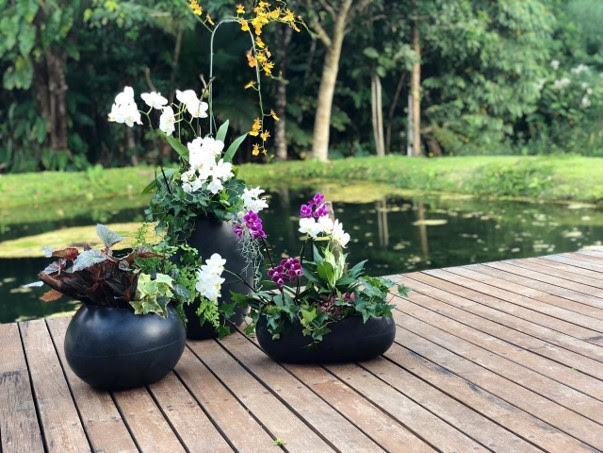 Vasart conquista selo I’m Green com a fabricação de vasos de plástico 100% verde e provenientes da cana de açúcar