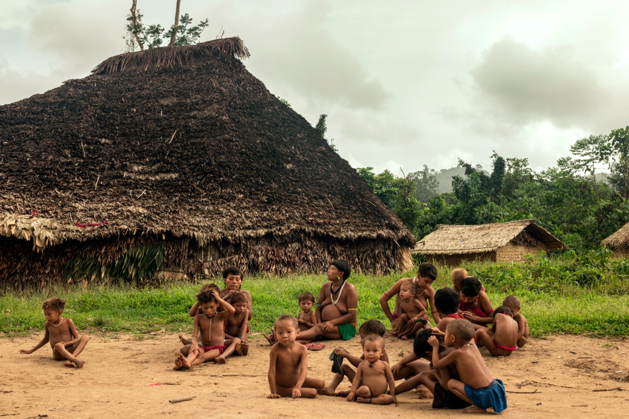 Mula Preta + Zipper Galeria convidam para a exposição “Amazônia, Terra–Floresta”