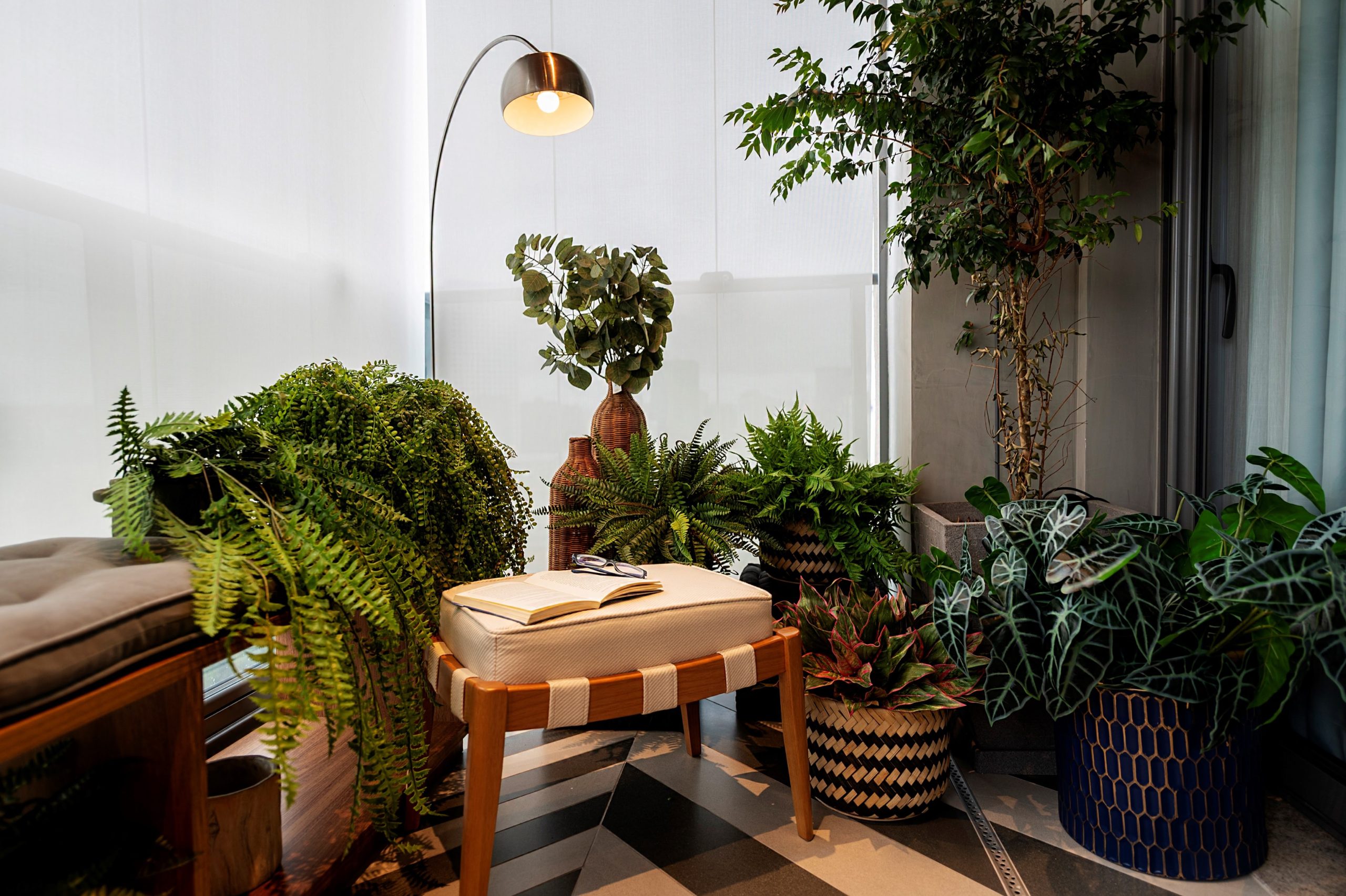 Primavera 2022: Confira dicas de iluminação  para valorizar as plantas no décor
