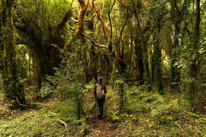 Chile se consagra campeão mundial de Turismo Verde no WTA 2022