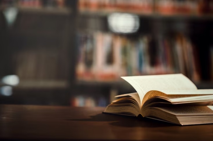 Edusp lança no dia 23 livro sobre conservação e patrimônio urbano no Recife