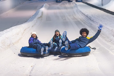 Snowland é eleito o    “Melhor Parque Temático do Brasil”