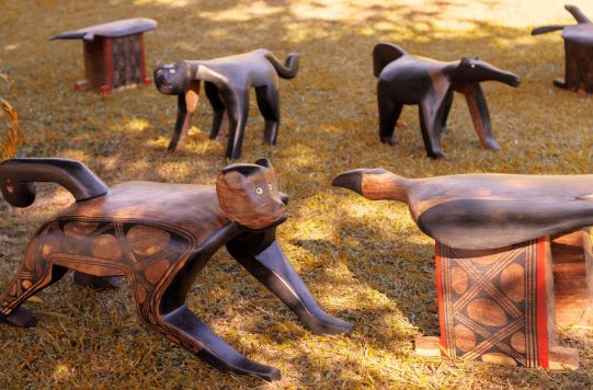 Comunidade indígena do Xingu usa arte para fortalecer aldeia