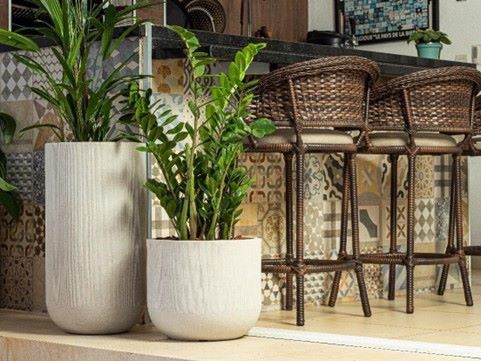 Enflor e Garden Fair apresentam novidades em flores, plantas e acessórios para floricultura, decoração e paisagismo