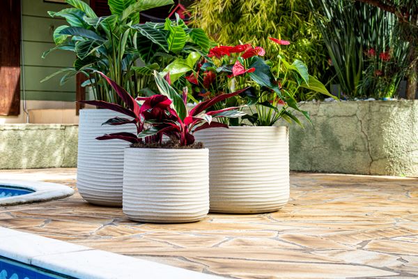JAPI inaugura novas linhas de vasos decorativos