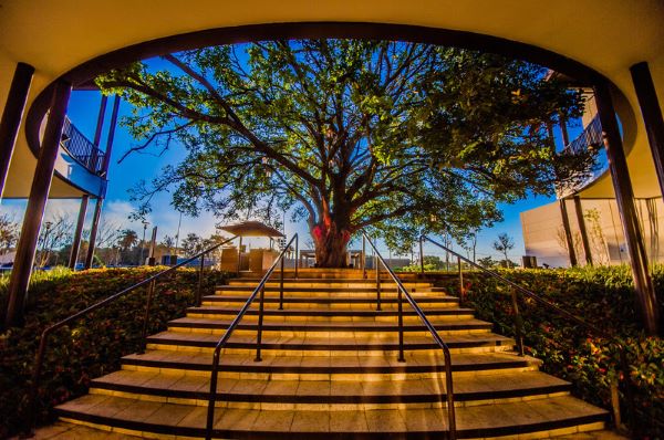 Iguatemi S.A. consolida seus avanços em torno da agenda ESG e apresenta seu primeiro relatório de sustentabilidade