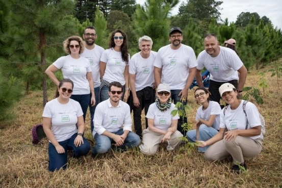 CASACOR São Paulo divulga Relatório de Sustentabilidade