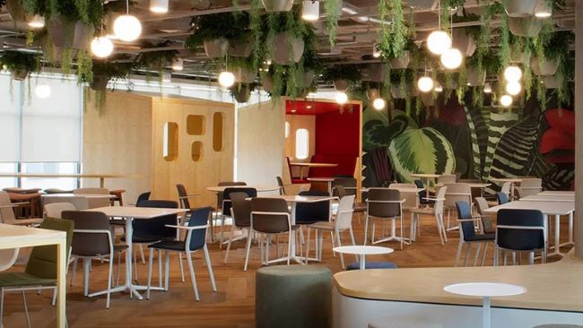 Neuroarquitetura em ambientes corporativos: construção do espaço pode amenizar o burnout