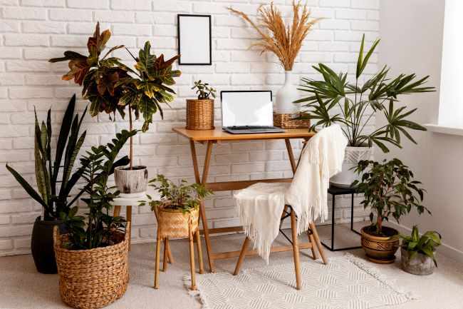 Unindo o verde ao decorável