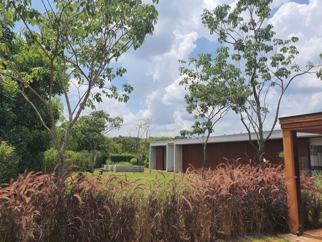 Alessandro Terracini é o responsável pelo design paisagístico na Fazenda Boa Vista, localizada em Porto Feliz, no Estado de São Paulo