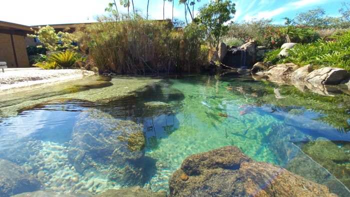 Como as piscinas biológicas se popularizaram e se tornaram uma tendência no Brasil?