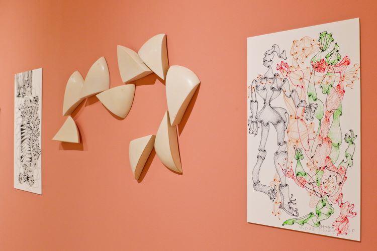 Exposição de Norma Grinberg no MON entra em seus últimos dias
