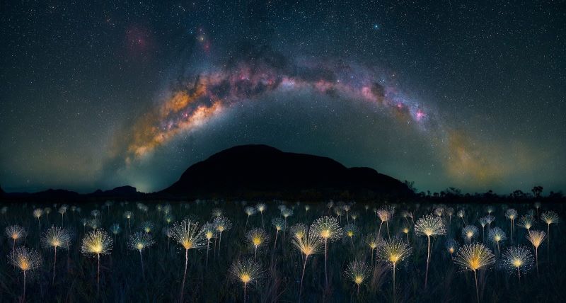 Brasiliense torna-se o primeiro brasileiro a conquistar o Epson International Pano Awards