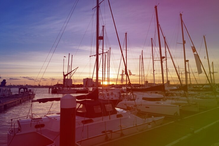 No South Summit Brazil 2024, o Wine Boat com vinhos da Grand Cru é destaque