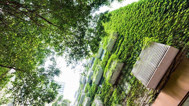 Desenvolvimento urbano sustentável reduz impactos das mudanças climáticas