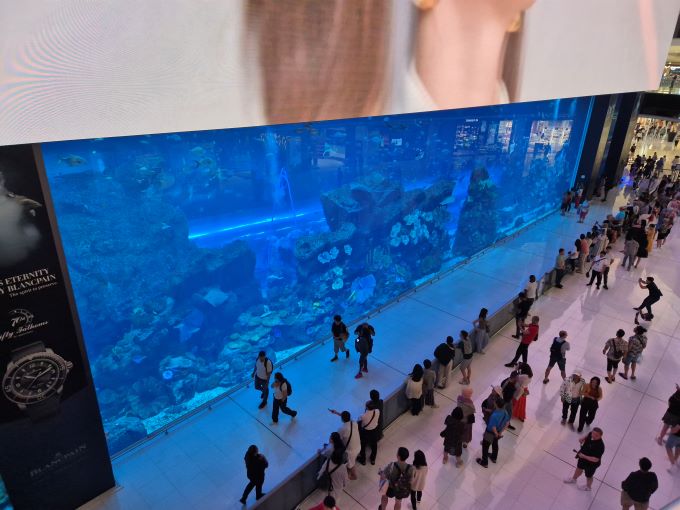 Catarinense Bold apoia construção de um gigante aquário marinho em Foz do Iguaçu (PR)
