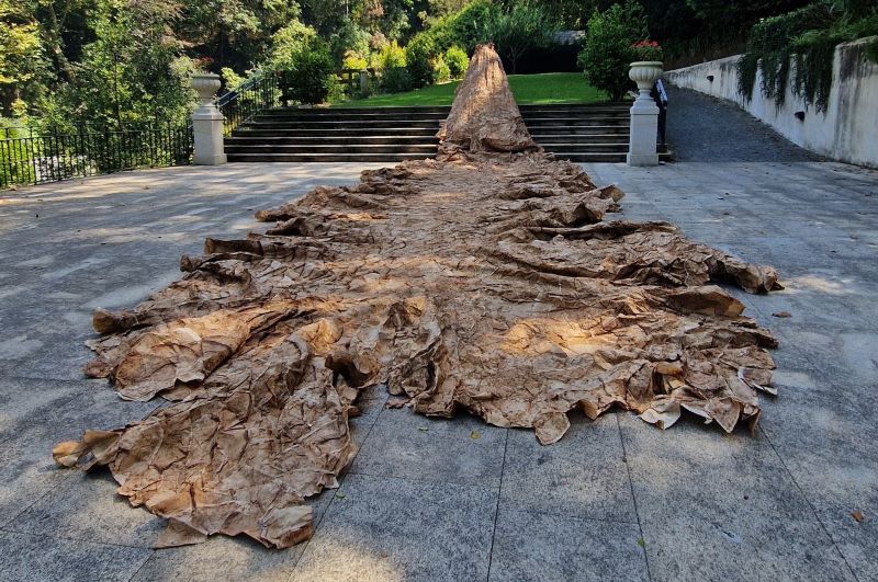 Curadora em Portugal leva artistas brasileiras ao 60° Prêmio Reina Sofia de Pintura e Escultura em Madri