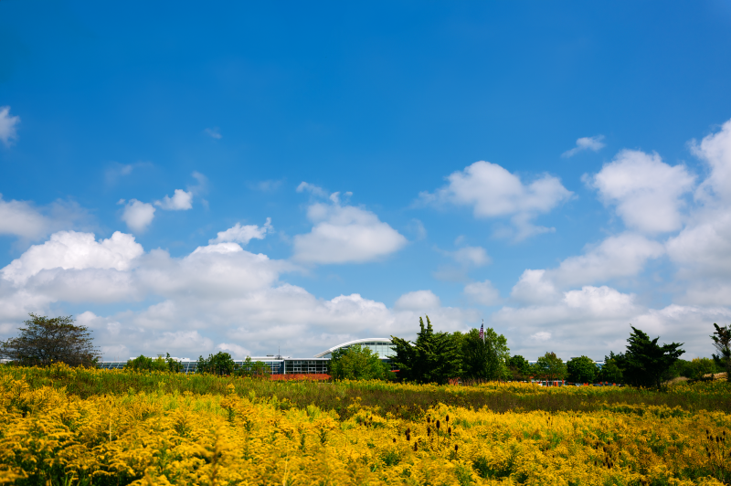 MillerKnoll apresenta nova estratégia de sustentabilidade e publica o Better World Report 2024