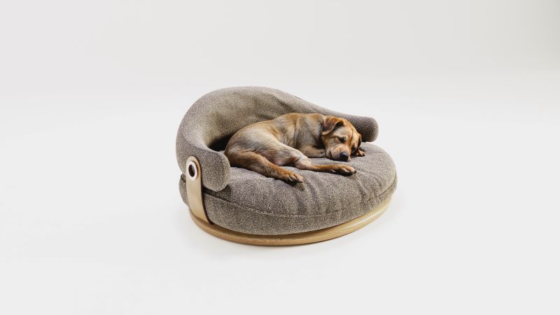 Zen Design lança coleção para pets em Milão