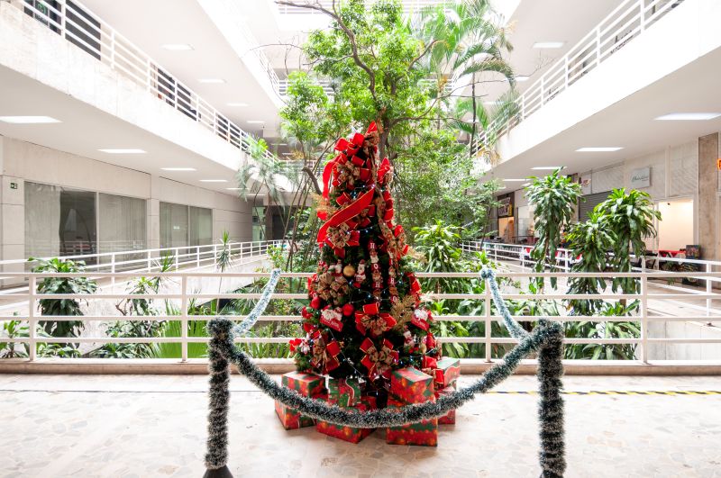Natal no Centro: Galeria Metrópole reúne design, arte e gastronomia em feira inédita na República