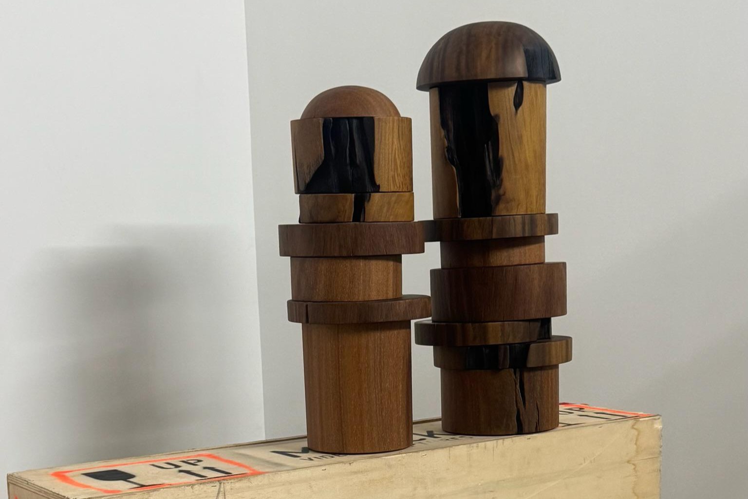 Areka’a e Henrique Steyer apresentam a Totem Collection na Lumen Art em Miami