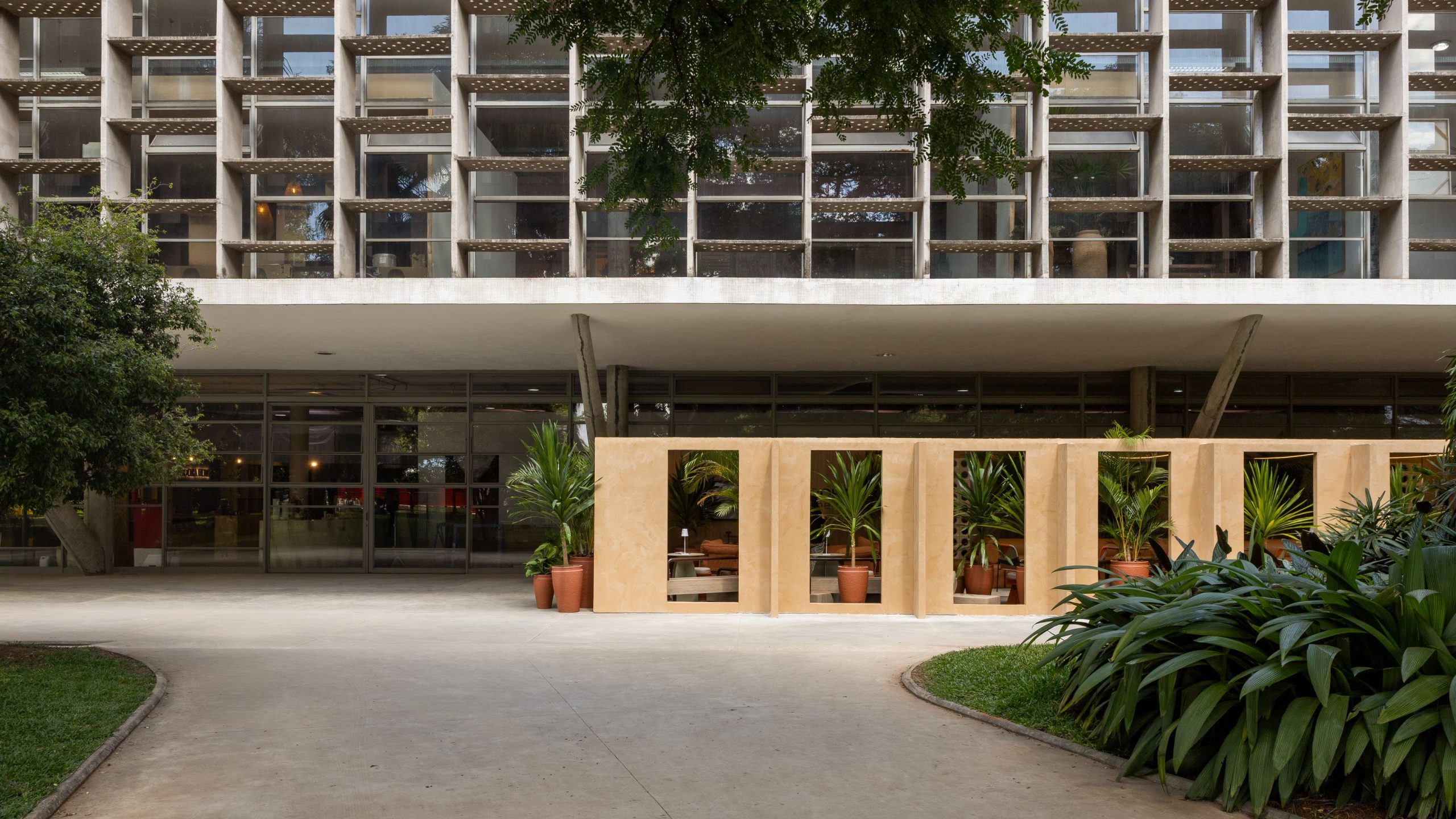 Entre o afeto e o design: Bienal de Arquitetura tem homenagem ao cachorro caramelo