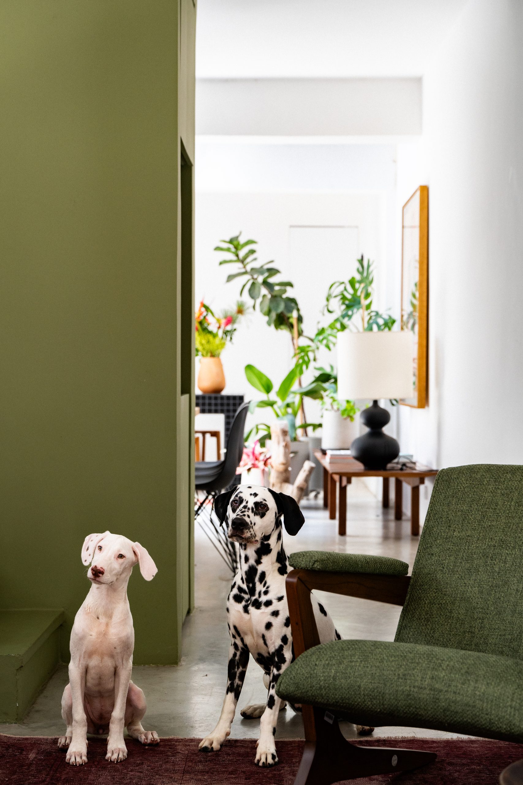 Casa de Vila imprime personalidade com peças de design assinado e memórias