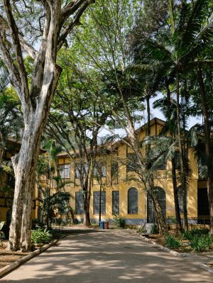 CASACOR São Paulo anuncia elenco para 2026