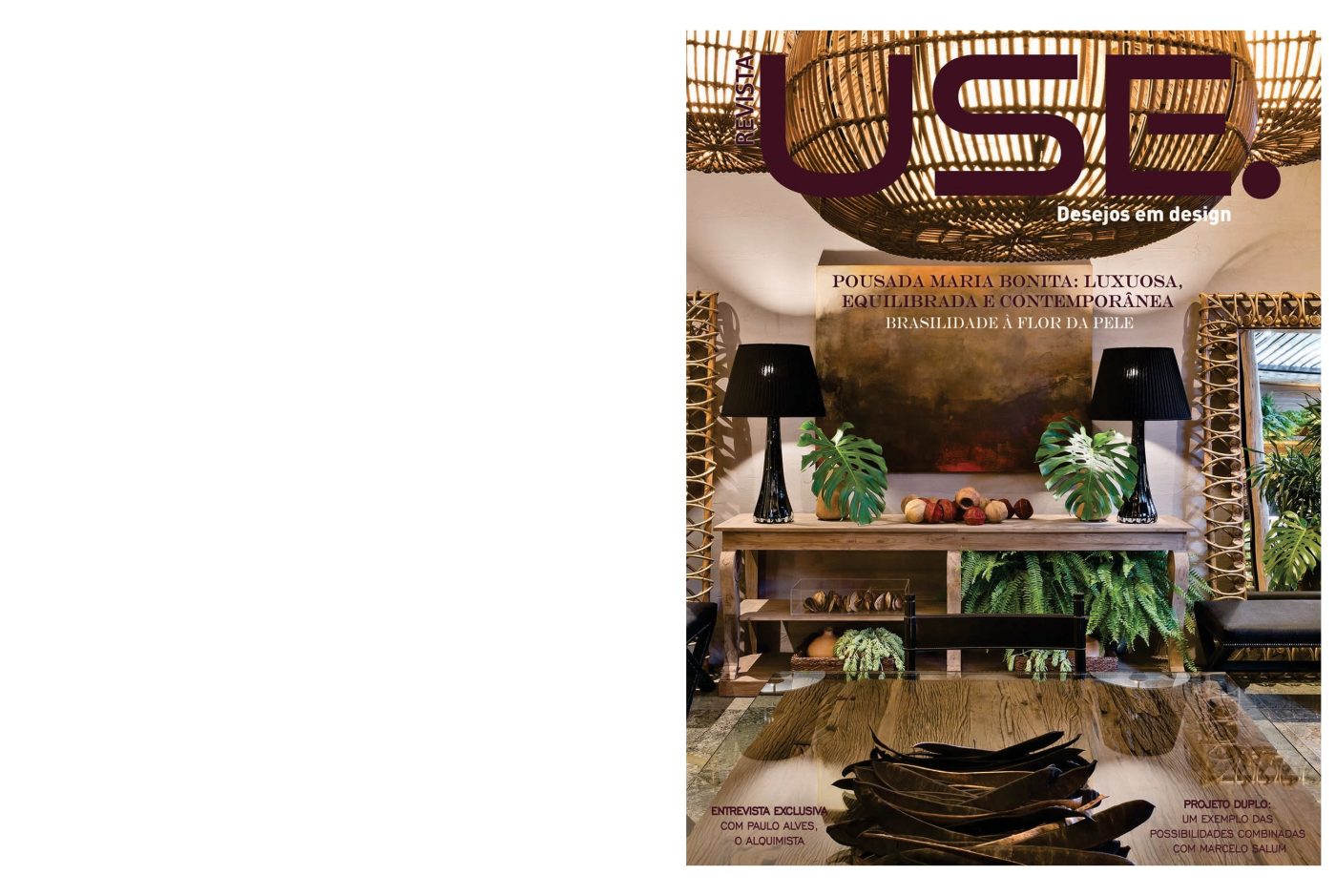 Capa Nº 8